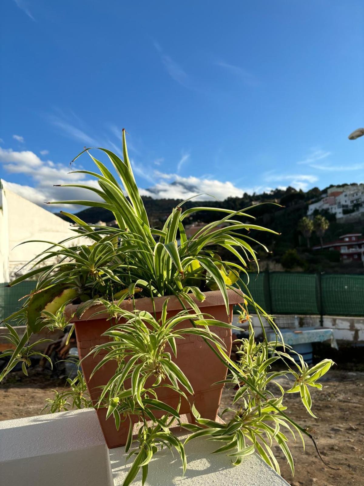 La Guancha La Trinidadゲストハウス エクステリア 写真